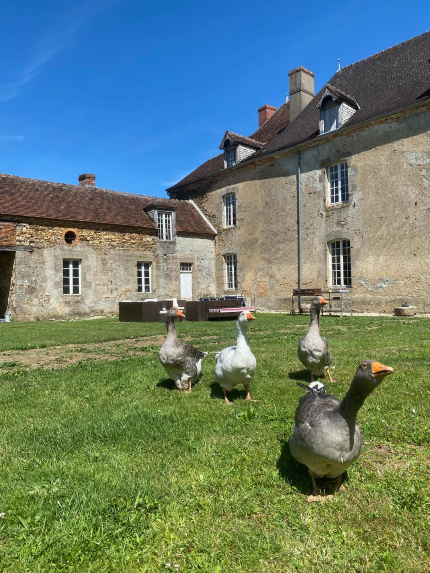 Bonnat Chateau De Grandsagne מראה חיצוני תמונה